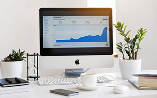 博鱼：在水的节律中遇见更好的自己